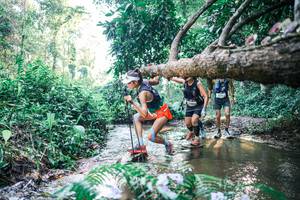 BIB: 
                            <button type="button" onclick="openModal(25436923)" class="btn btn-primary btn-sm float-right btn-popup" data-toggle="modal" data-target=".modal-high-quality">
                        <i class="fas fa-shopping-cart"></i> Add to Cart
                    </button>
                                            <button type="button" onclick="isThisMe(25436923, true)" class="btn btn-success btn-sm float-right btn-popup btn-isme hidden" data-toggle="tooltip" data-placement="bottom" title="นี่คือรูปของคุณใช่ไหม คลิกที่นี่เพื่อเอาเข้าอัลบั้ม">
                        <i class="fas fa-plus"></i> Add to album
                    </button>
                    <button type="button" onclick="isThisMe(25436923, false)" class="btn btn-warning btn-sm float-right btn-popup btn-isnotme hidden">
                        <i class="fas fa-ban"></i> Remove from album
                    </button>